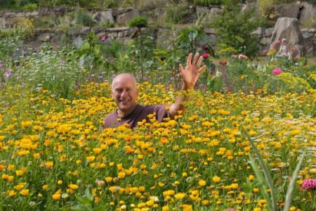 The Power of Pulses Image